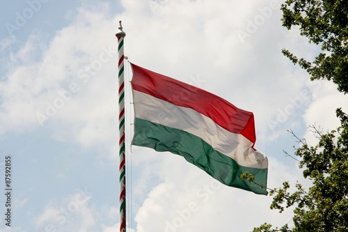 Fototapet Waving hungarian flag in front of a cloudy sky