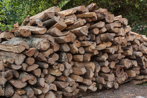 Pile of wood for use as firewood for cooking fuel.
