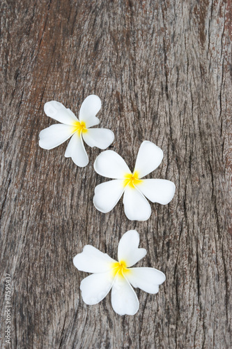 White frangipani (plumeria) on wood background, selective focus. © sombats