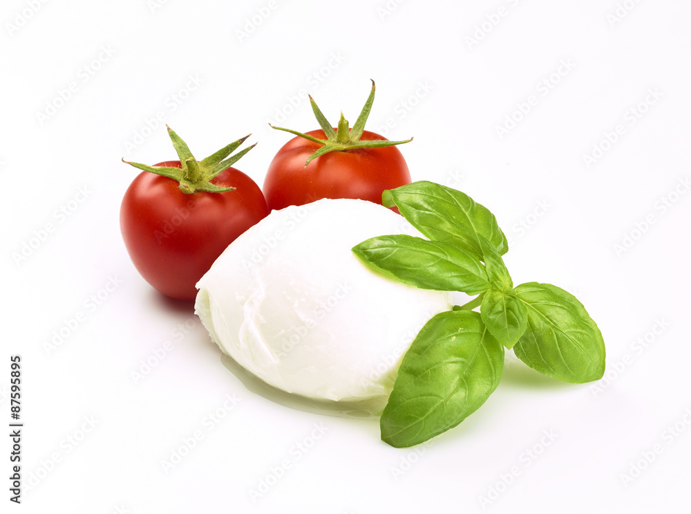 Morzarella Morzarella
