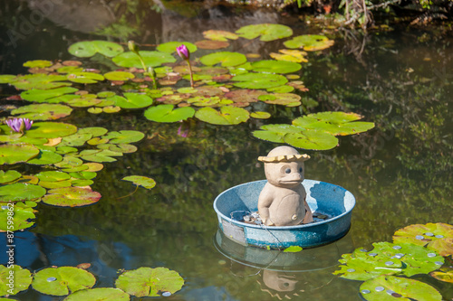 Fotografie kappa statue in the bucket on the pond.