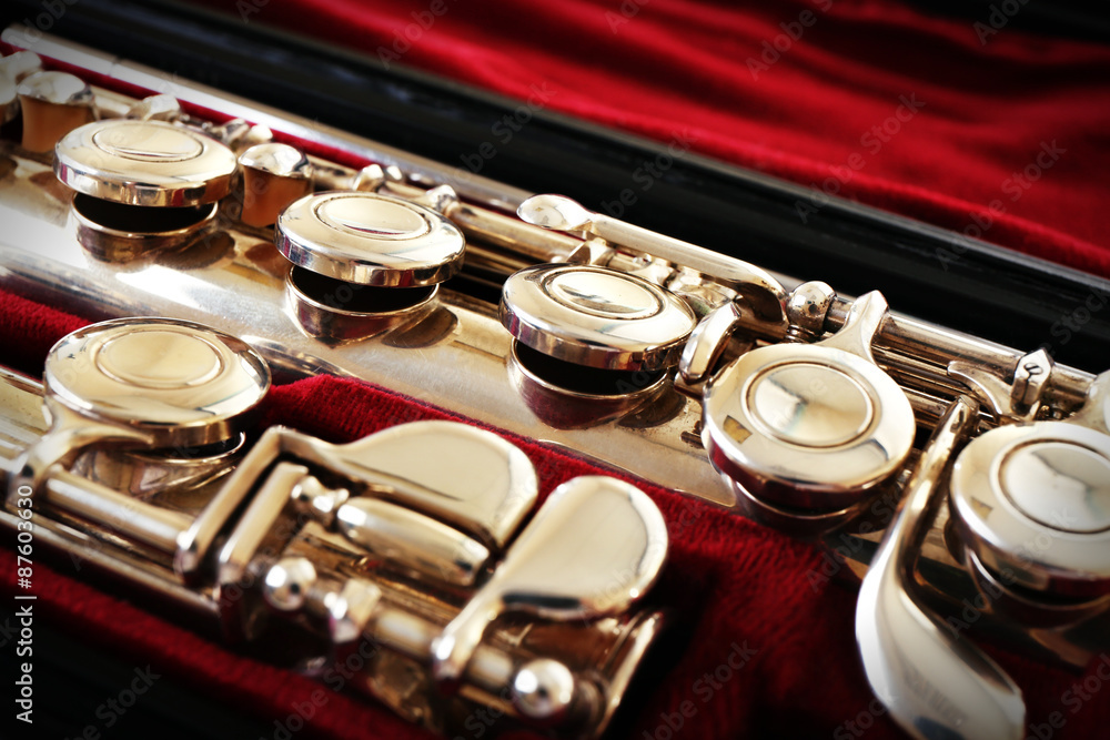 Obraz premium Flute in case close up