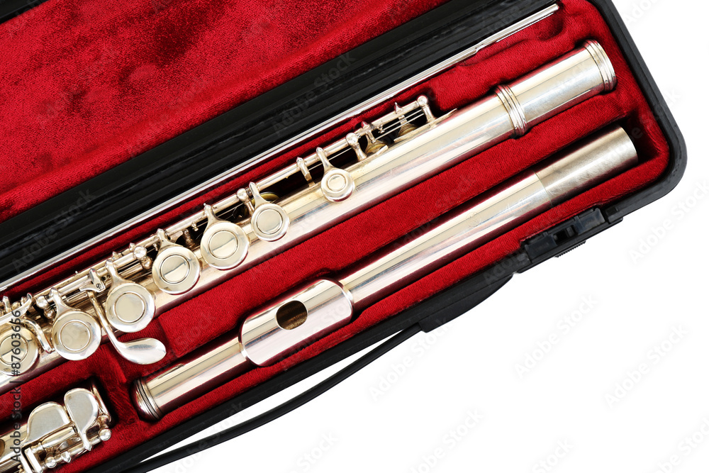 Naklejka premium Flute in case close up