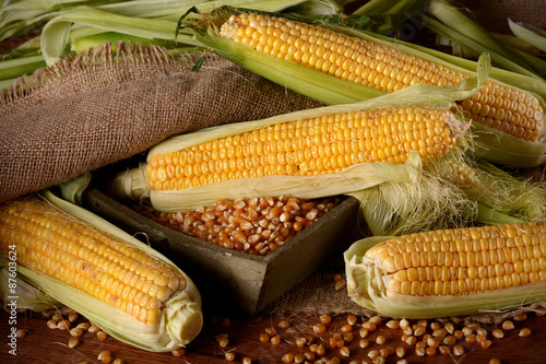 pannocchie di mais biologico sul tavolo di legno