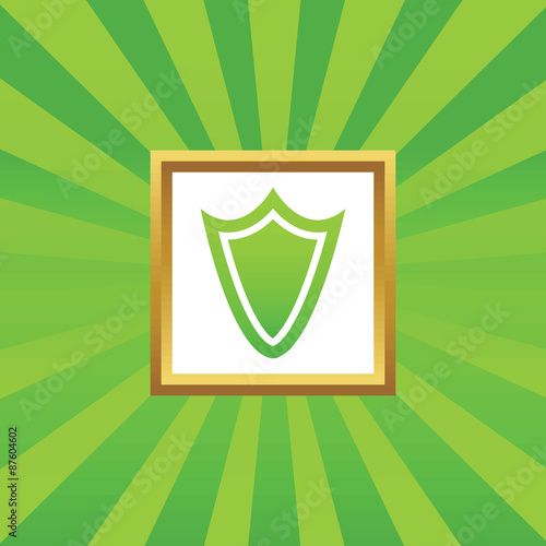 Shield picture icon