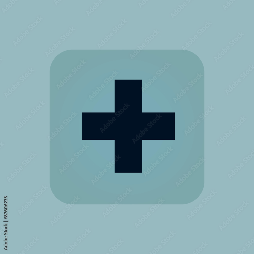 Obraz premium Pale blue plus icon
