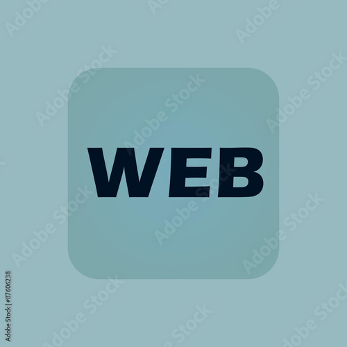 Pale blue WEB icon