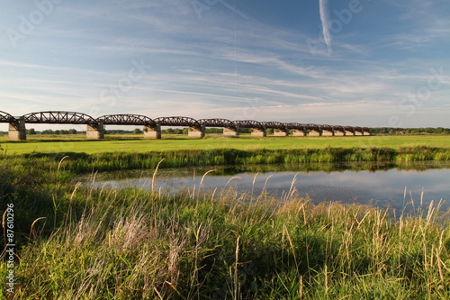 Elbwiesen mit Dömitzer Eisenbahnbrücke