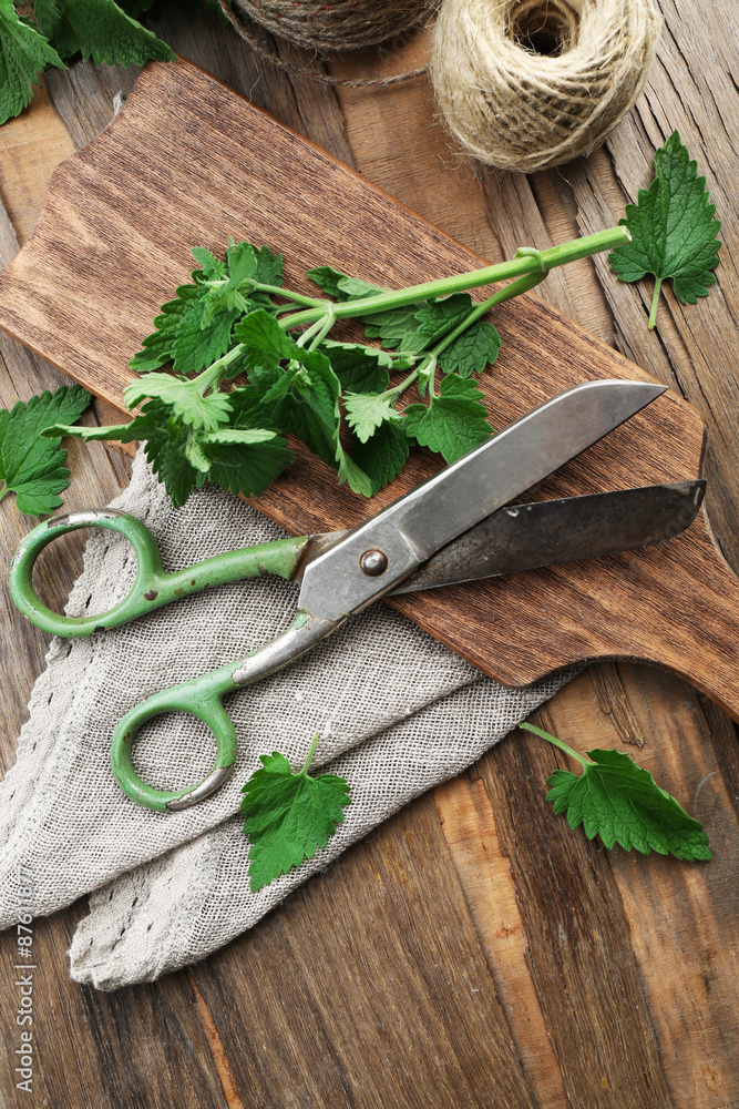 Naklejka premium Leaves of lemon balm with scissors and rope on wooden cutting board, closeup