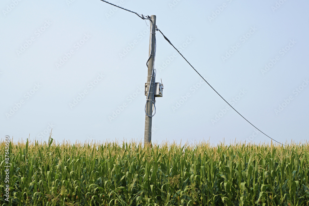 Obraz premium electricity pylon with blue sky background