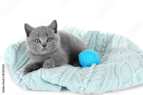 Cute gray kitten with skein of thread isolated on white