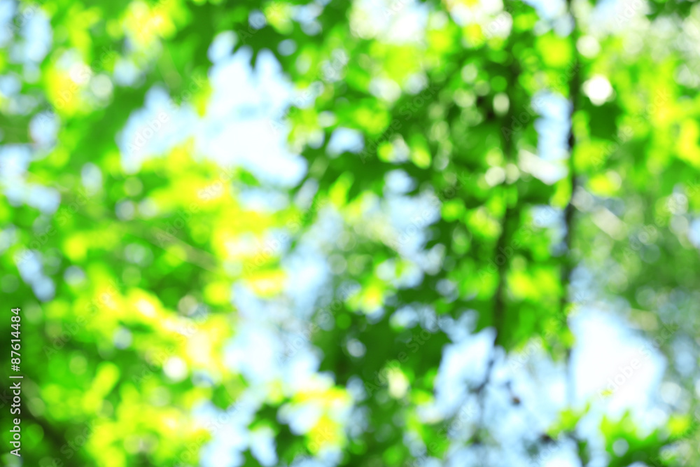 Beautiful green natural background Beautiful green natural background