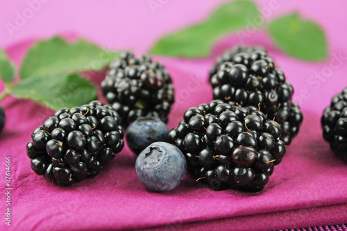 Waldbeeren - Blaubeeren und Brombeeren auf lila Serviette mit Brombeerblättern