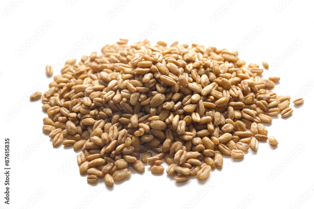 Obraz premium Farro