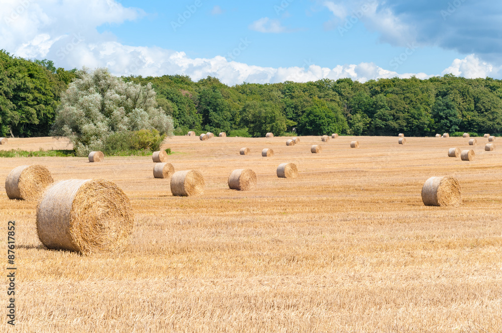 Strohballen auf abgemähtem Getreidefeld, Landwirtschaft, Erntearbeit, heißer Sommertag auf dem Feld, Erntewetter