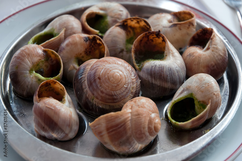 Escargot dish on the plate, traditional french delicatessen .