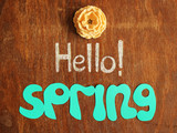 hello spring! greeting card, peony flower
