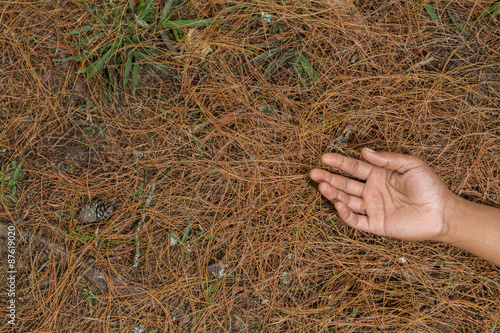 Hand of African American man in the forest floor