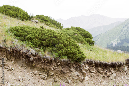 Fotografia, Obraz mountain slope with grass and bushes