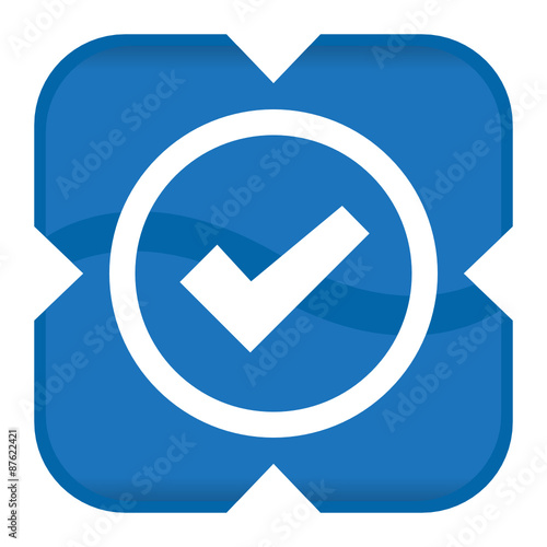 VALIDATION ICON