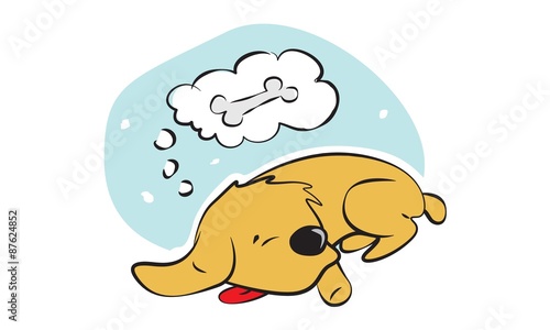 cão dormingo
