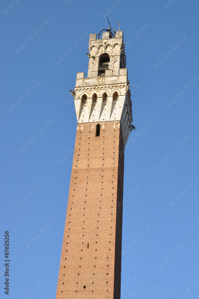 Torre del Mangia tower, Siena, Tuscany, Italy