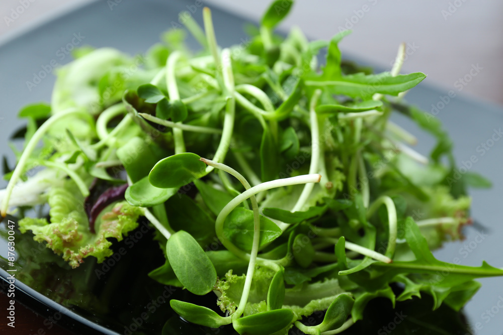 Fresh mixed green salad on plate close up Fresh mixed green salad on plate close up
