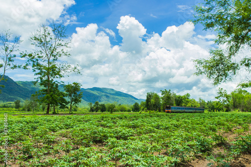 Thailand Railway photo