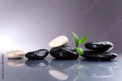Wet spa stones with green leaves on gray background