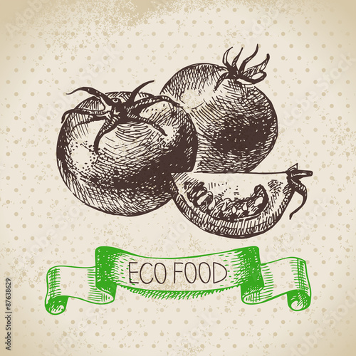 Hand drawn sketch tomato vegetable. Eco food background.