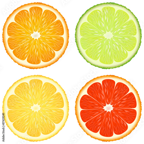 Citrus slices. A set of four - orange, lime, lemon and grapefruit. Vector design elements.