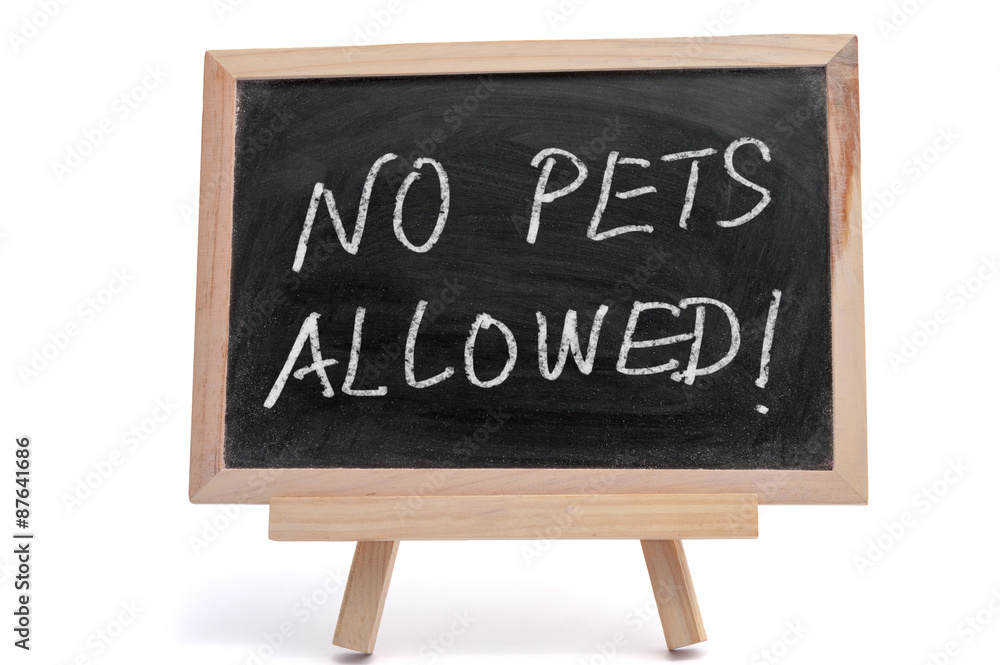 Fototapeta premium No pets allowed