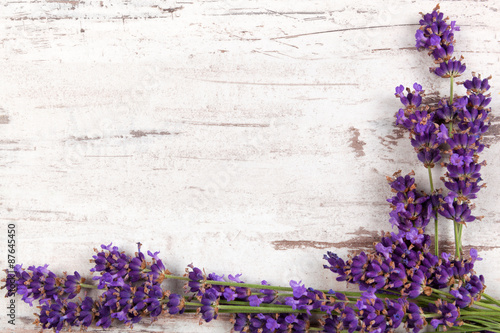 Fototapeta Naklejka Na Ścianę i Meble -  Lavender background.