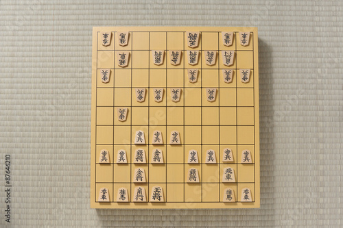 将棋盤を真上から
