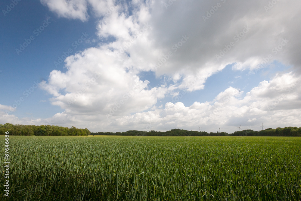 Dutch farmland. Typical flat and featureless agricultural crop land in Holland, Europe. Dutch farmland. Typical flat and featureless agricultural crop land in Holland, Europe.
