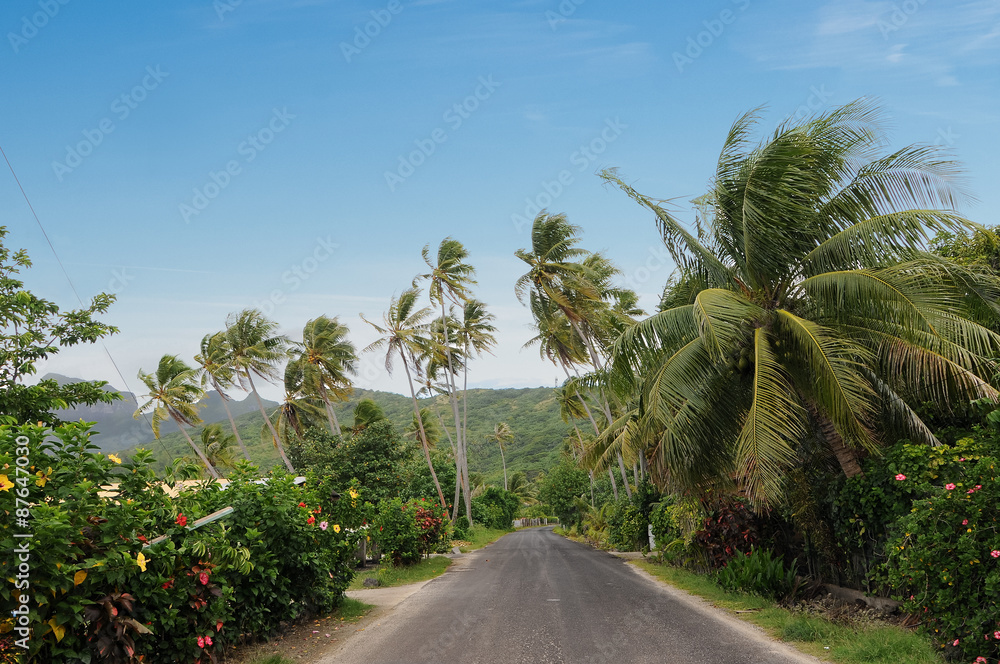 Fototapeta premium Droga na Bora-Bora