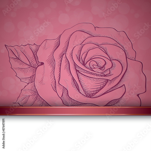 Sketch  rose background