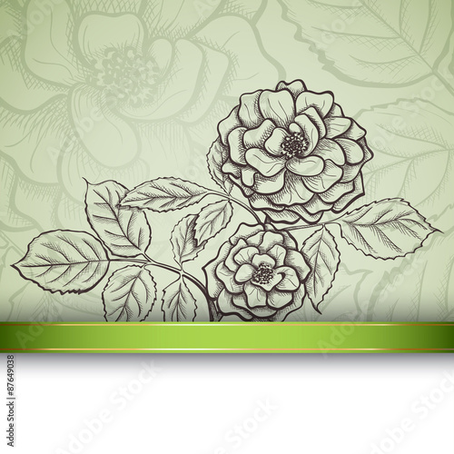 Sketch  rose background
