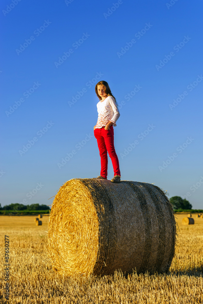 Teenage girl with long hair posing in summer field, countryside Teenage girl with long hair posing in summer field, countryside
