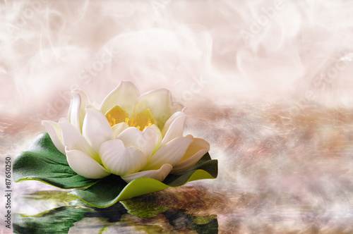 Water lily floating in warm water horizontal composition photo