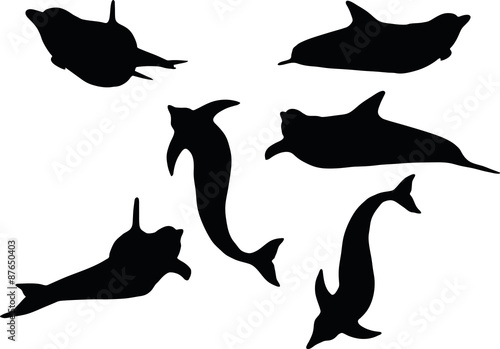 dolphin silhouette isolated