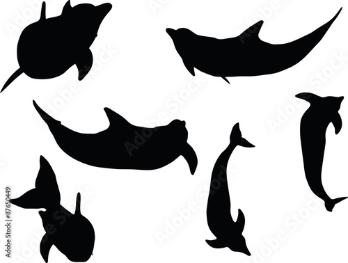 dolphin silhouette isolated