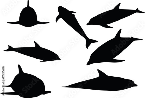 dolphin silhouette isolated