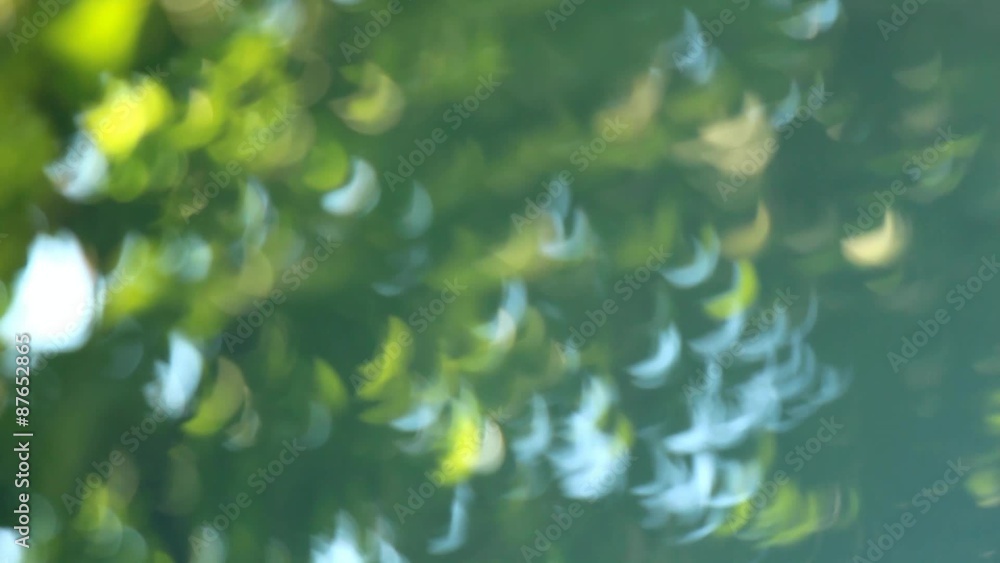 Blur fresh crisp green tree leaves backlit. Natural background. Blur fresh crisp green tree leaves backlit. Natural background.