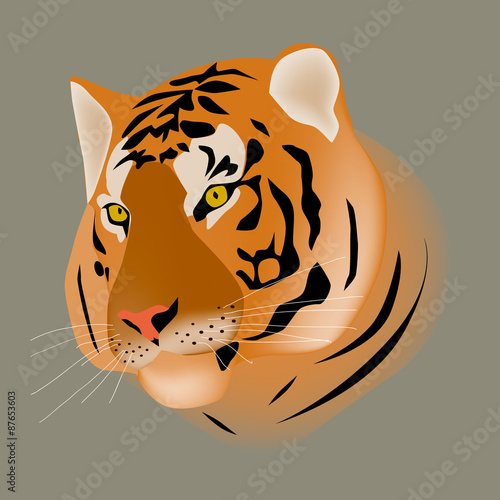 tiger