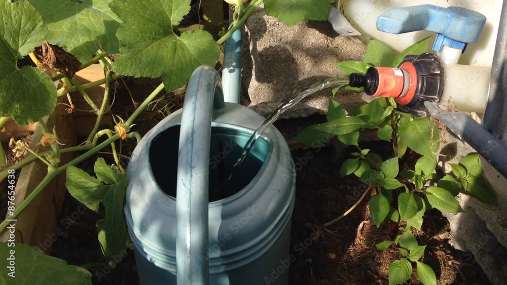 recyclage de l'eau pour arrosage de potager