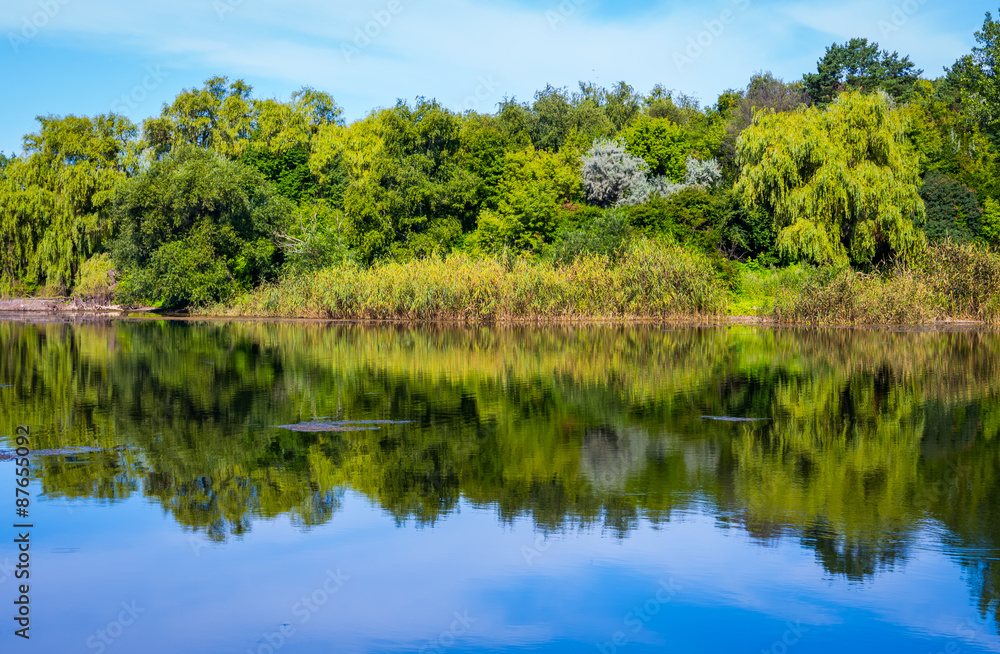 Pond on a sunny day