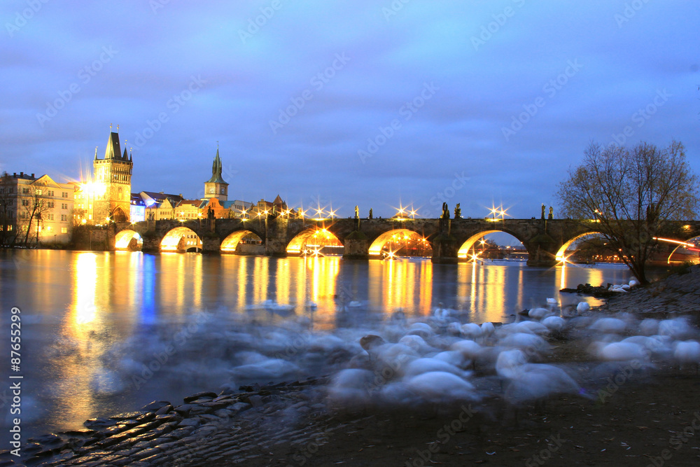 Obraz premium Swans night in Prague