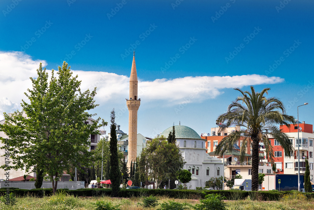 Obraz premium Mosque in Istanbul
