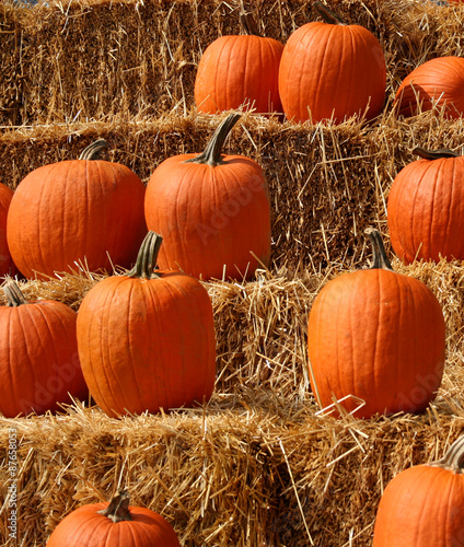 Autumn Pumpkin Display – Pumpkins displayed on straw bales for the autumn season.